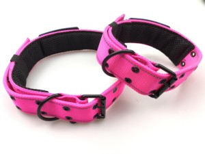 xl dog collars